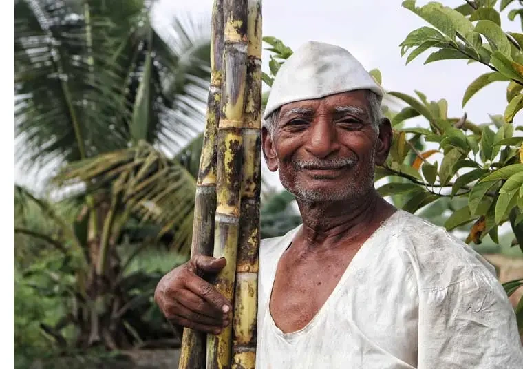 Quaalirich-sugar mam